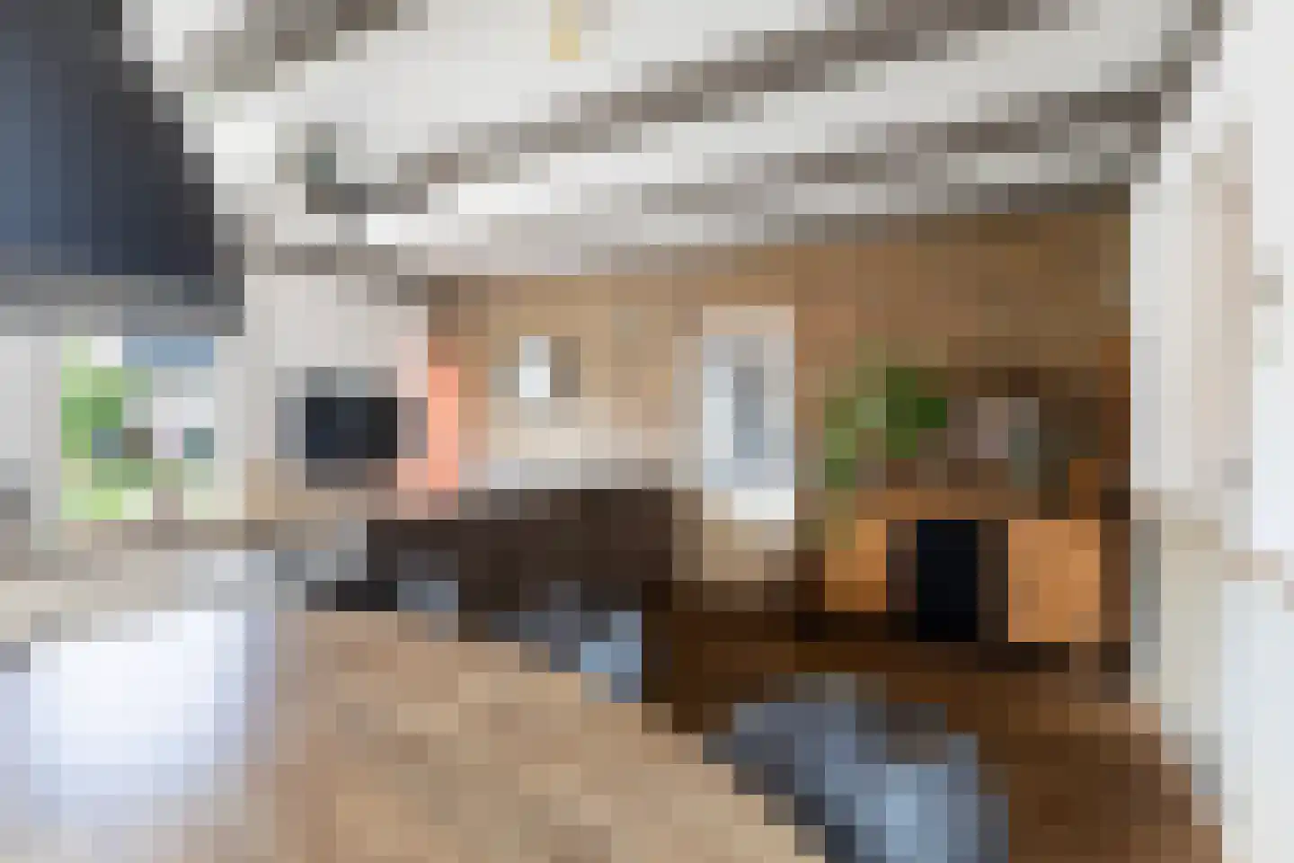 Wânswerterdyk 9 Burdaard thumbnail 23
