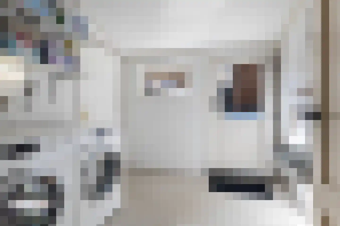 Wânswerterdyk 9 Burdaard thumbnail 24