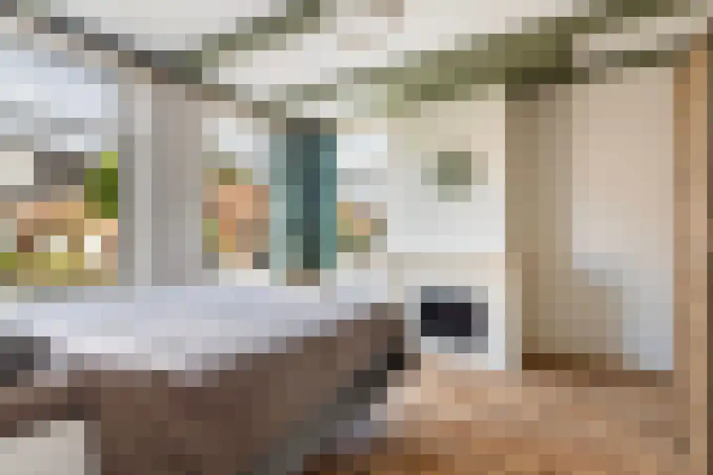Wânswerterdyk 9 Burdaard thumbnail 27