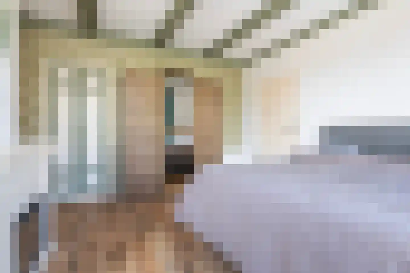 Wânswerterdyk 9 Burdaard thumbnail 28