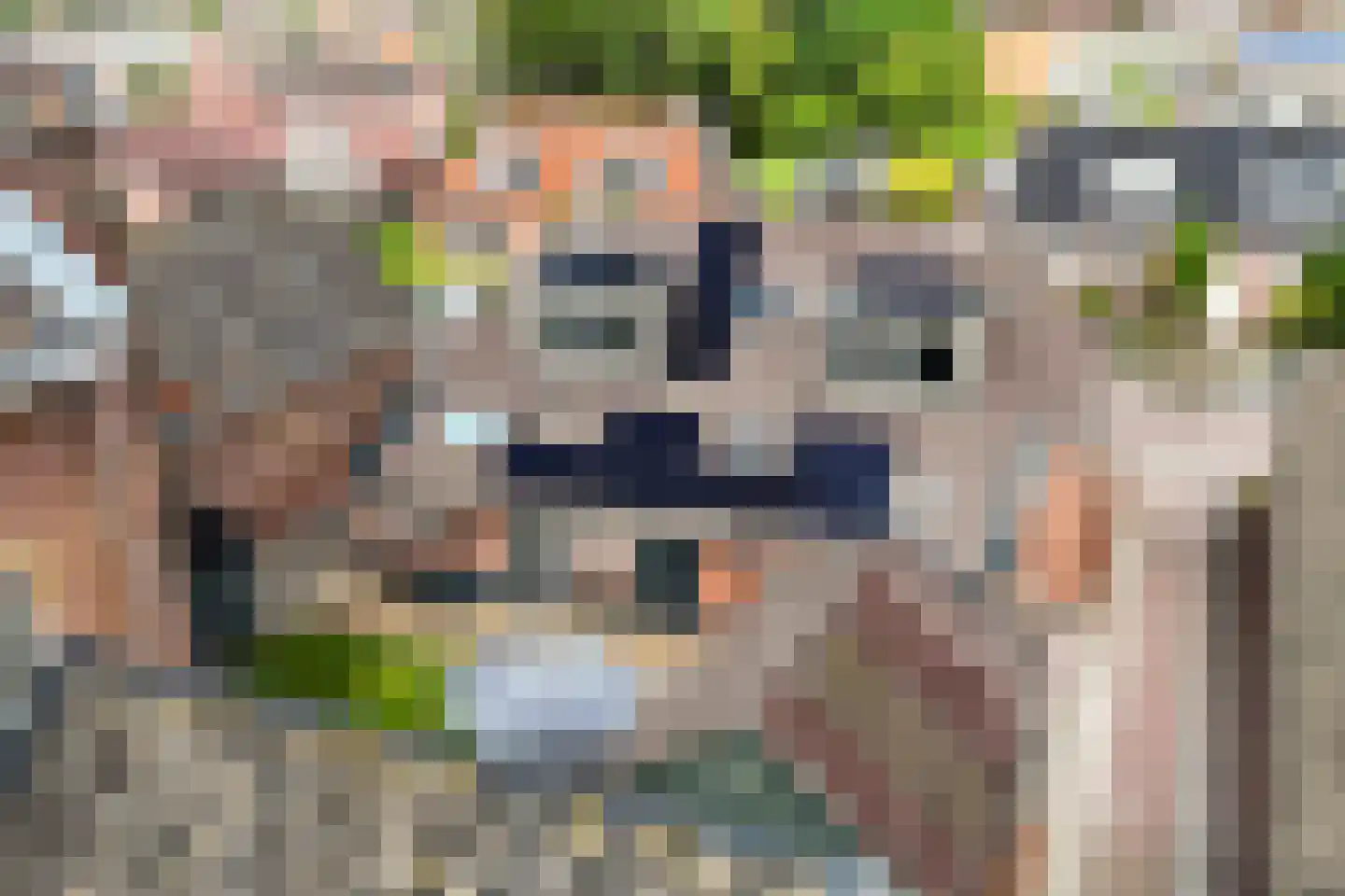 Wânswerterdyk 9 Burdaard thumbnail 34