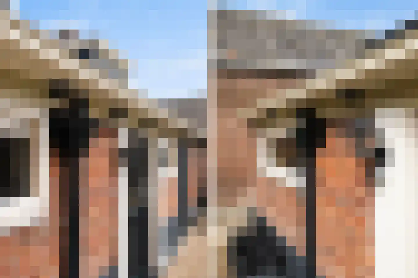 Wânswerterdyk 9 Burdaard thumbnail 38