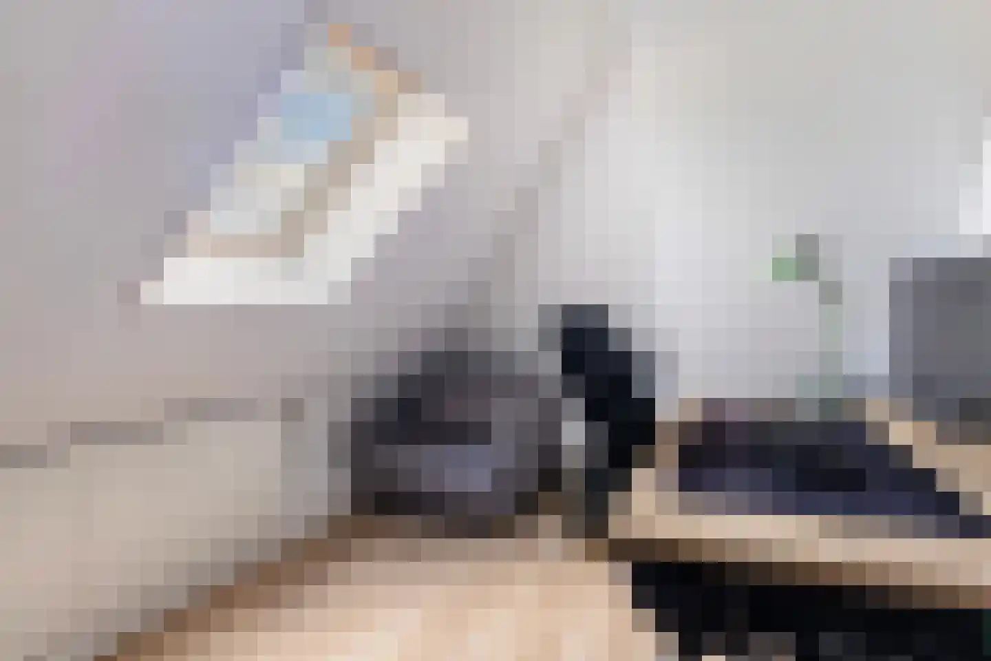 Wânswerterdyk 9 Burdaard thumbnail 39