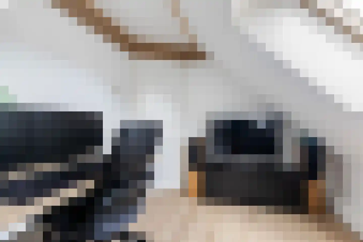 Wânswerterdyk 9 Burdaard thumbnail 40