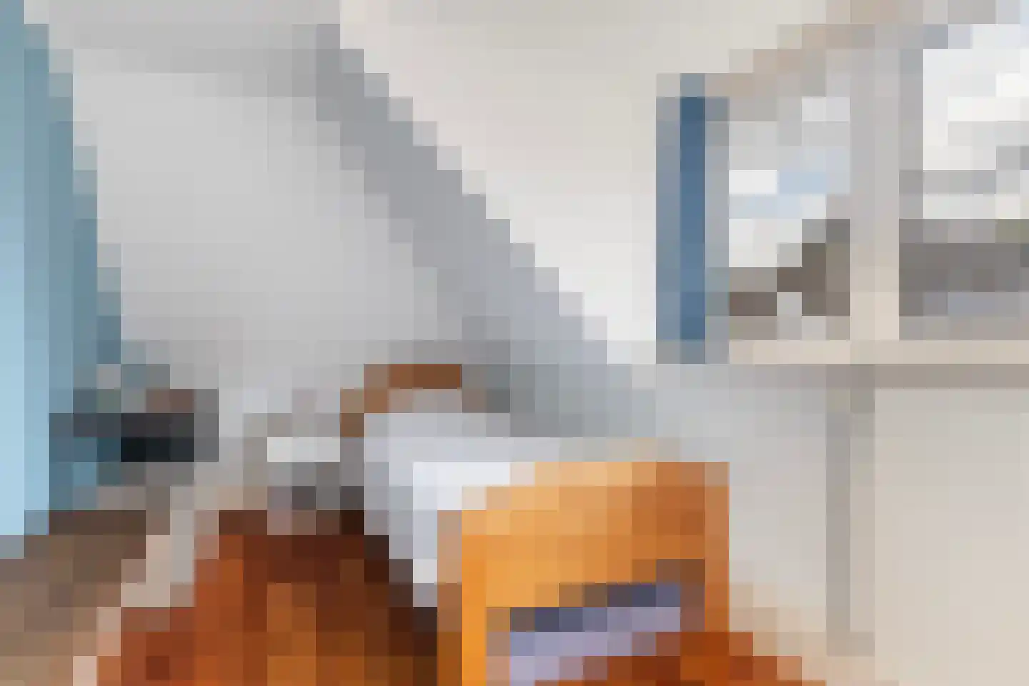 Wânswerterdyk 9 Burdaard thumbnail 41