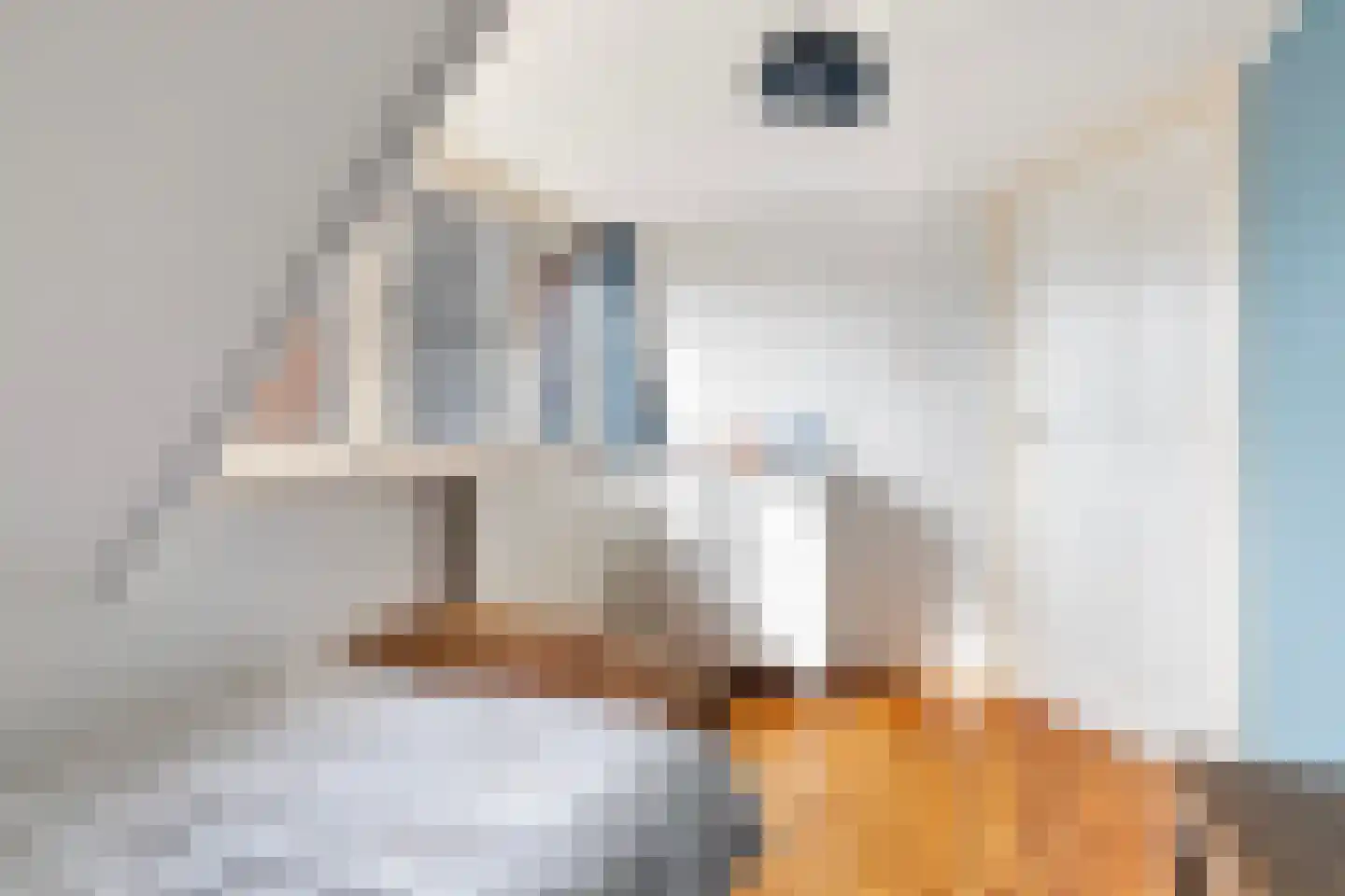 Wânswerterdyk 9 Burdaard thumbnail 42