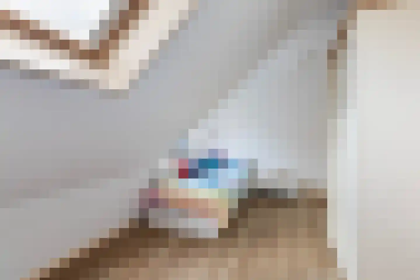 Wânswerterdyk 9 Burdaard thumbnail 44