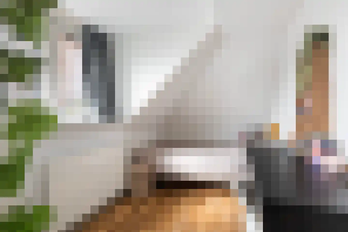 Wânswerterdyk 9 Burdaard thumbnail 45
