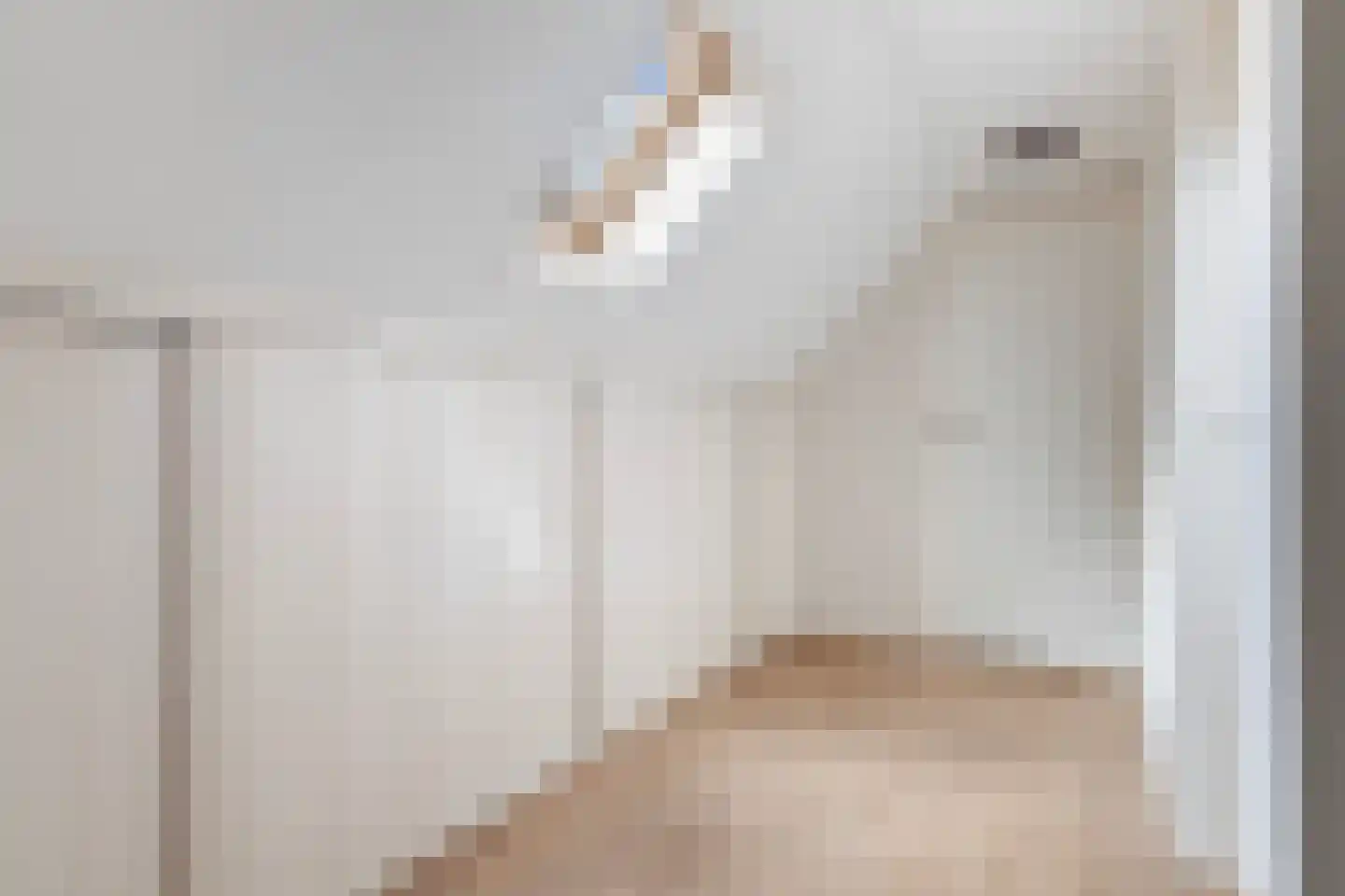 Wânswerterdyk 9 Burdaard thumbnail 47