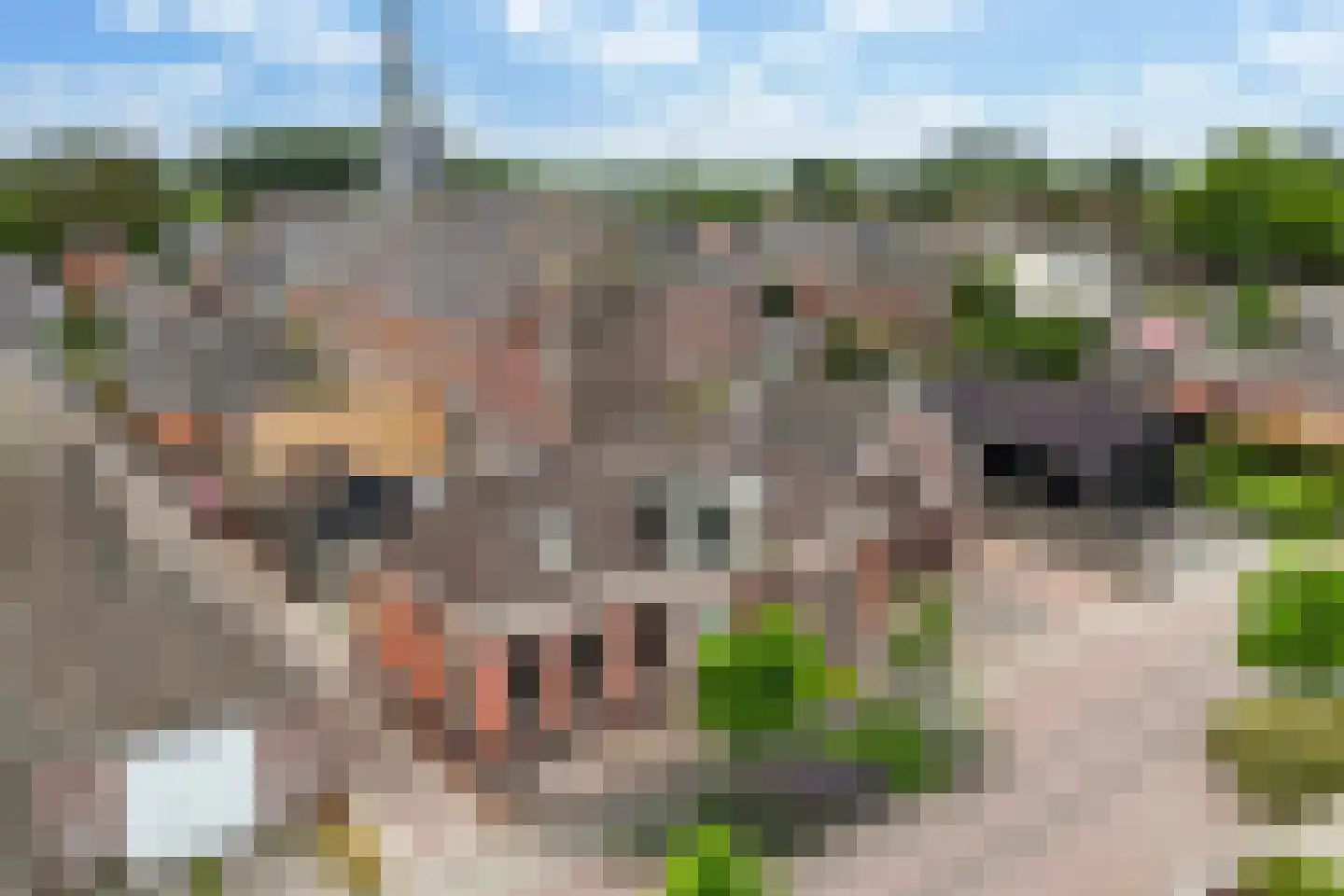 Wânswerterdyk 9 Burdaard thumbnail 48
