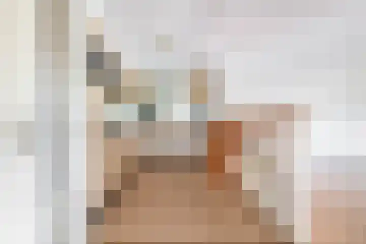Want 31 Joure thumbnail 14