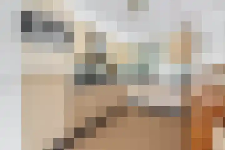 Want 31 Joure thumbnail 15