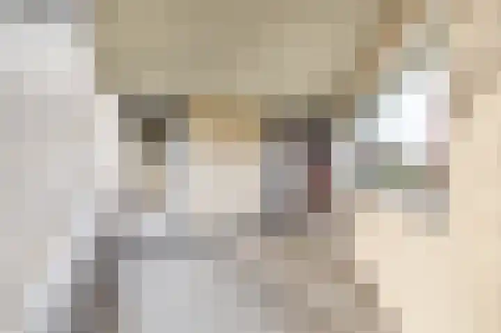 Want 31 Joure thumbnail 19