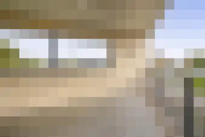 Want 31 Joure thumbnail 20