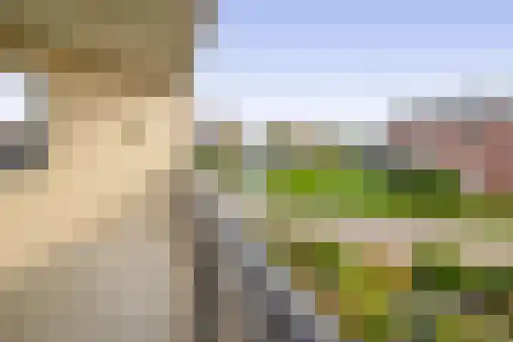 Want 31 Joure thumbnail 21