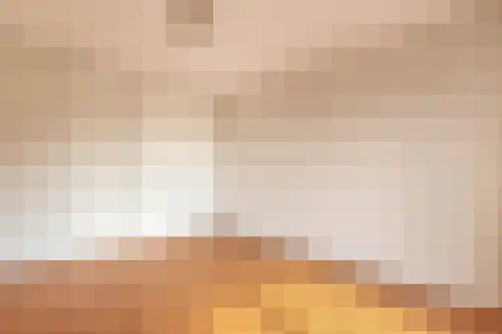 Want 31 Joure thumbnail 24
