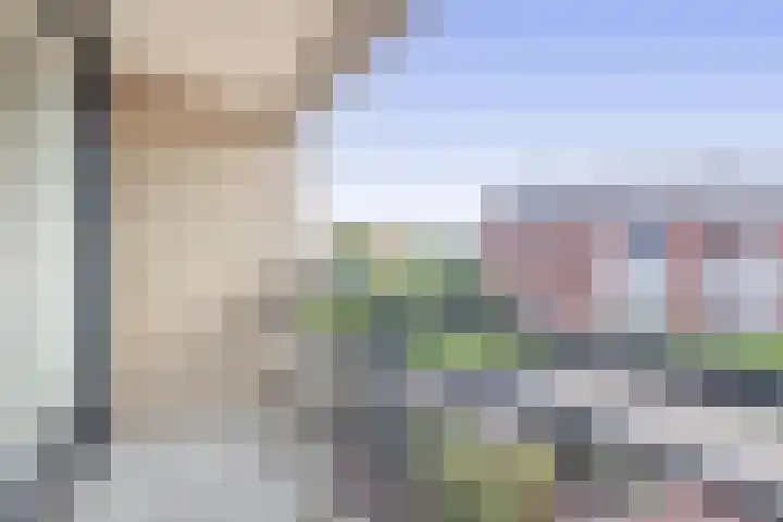 Want 31 Joure thumbnail 26