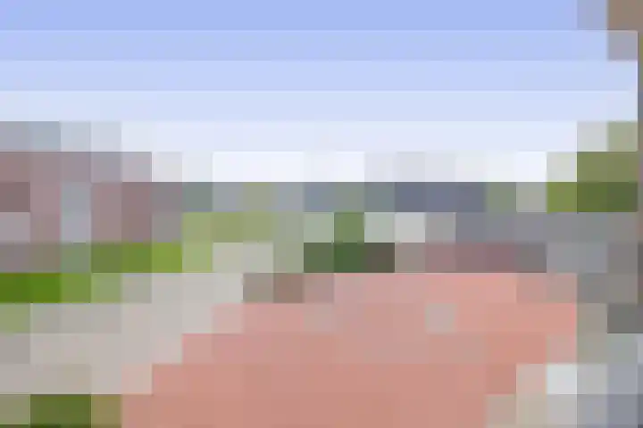 Want 31 Joure thumbnail 27