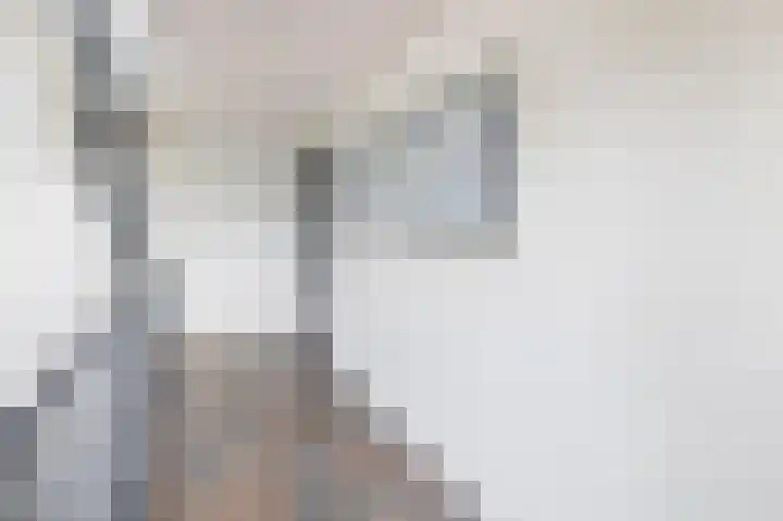 Want 31 Joure thumbnail 34