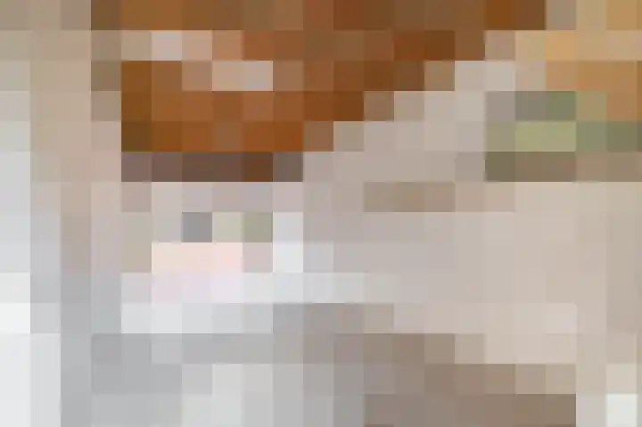 Want 31 Joure thumbnail 36