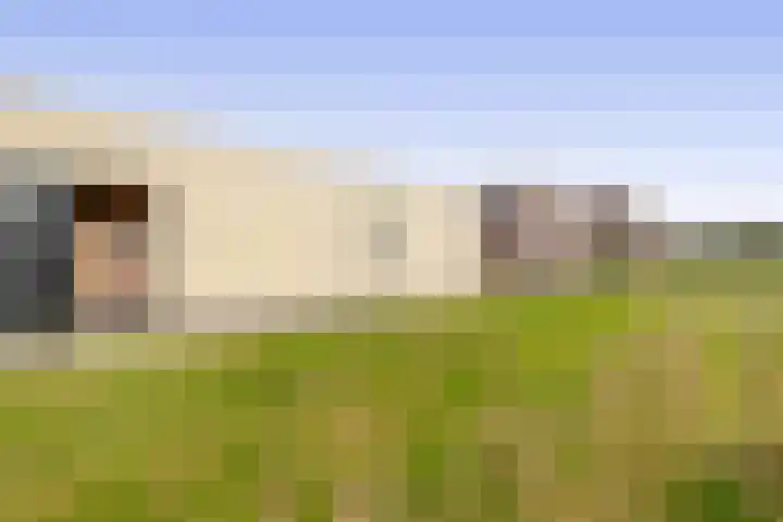 Want 31 Joure thumbnail 37
