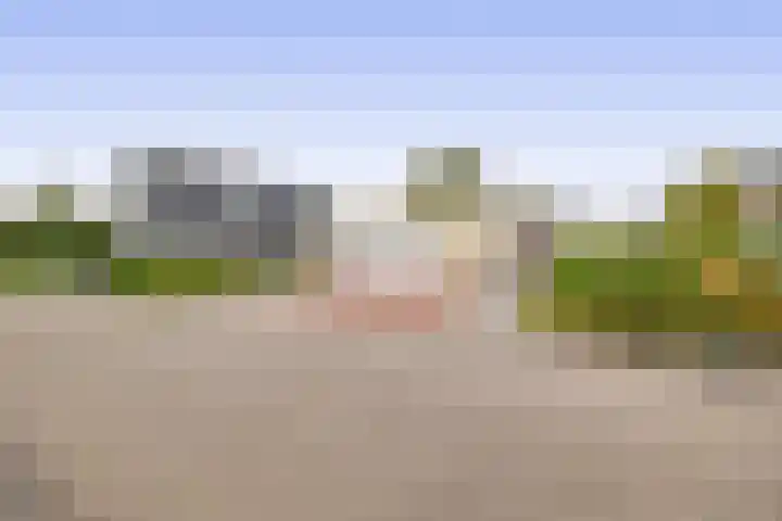 Want 31 Joure thumbnail 38