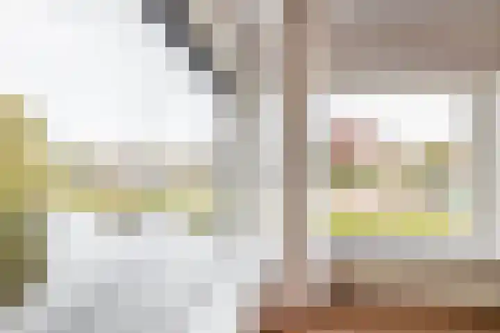 Want 31 Joure thumbnail 4