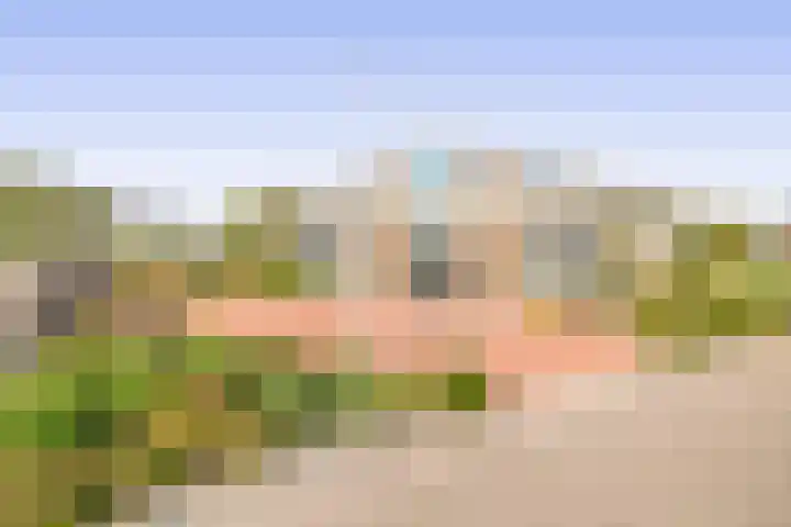 Want 31 Joure thumbnail 40