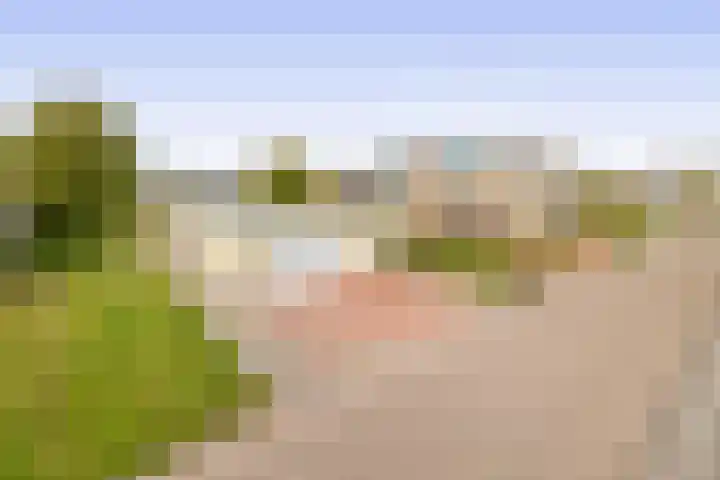 Want 31 Joure thumbnail 41