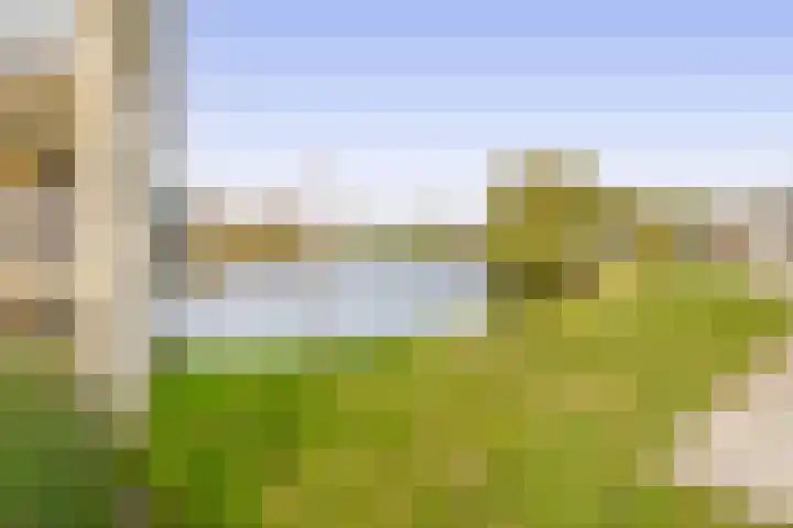 Want 31 Joure thumbnail 43