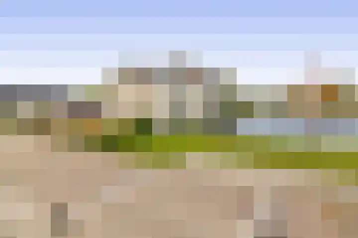 Want 31 Joure thumbnail 46