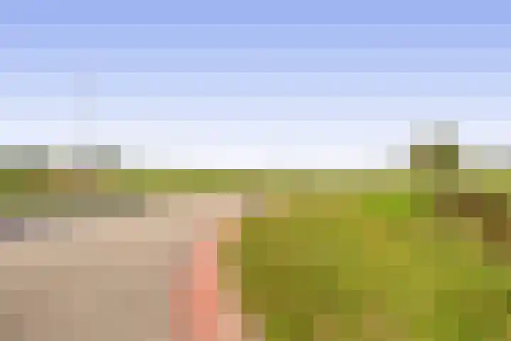 Want 31 Joure thumbnail 48