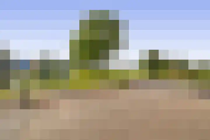Want 31 Joure thumbnail 49