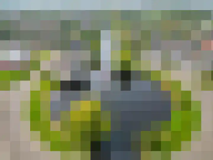 Want 31 Joure thumbnail 50