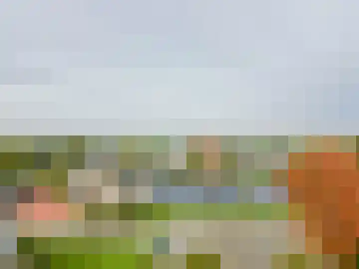 Want 31 Joure thumbnail 51