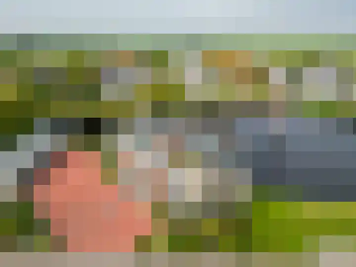 Want 31 Joure thumbnail 52