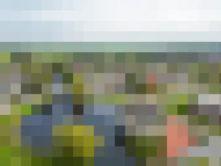 Want 31 Joure thumbnail 53