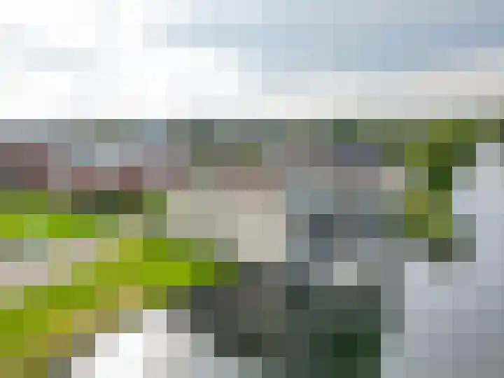 Want 31 Joure thumbnail 54