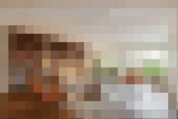 Want 31 Joure thumbnail 8