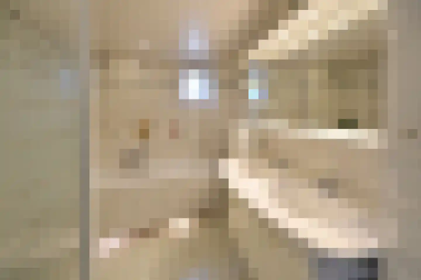 Want 32 Huizen thumbnail 12