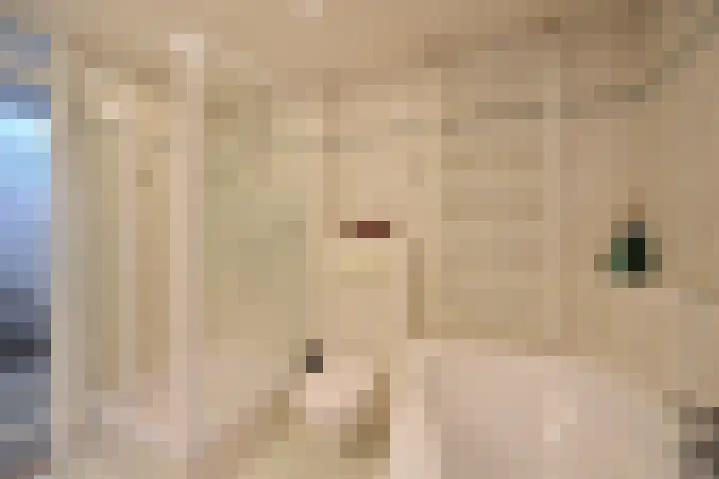 Want 32 Huizen thumbnail 13