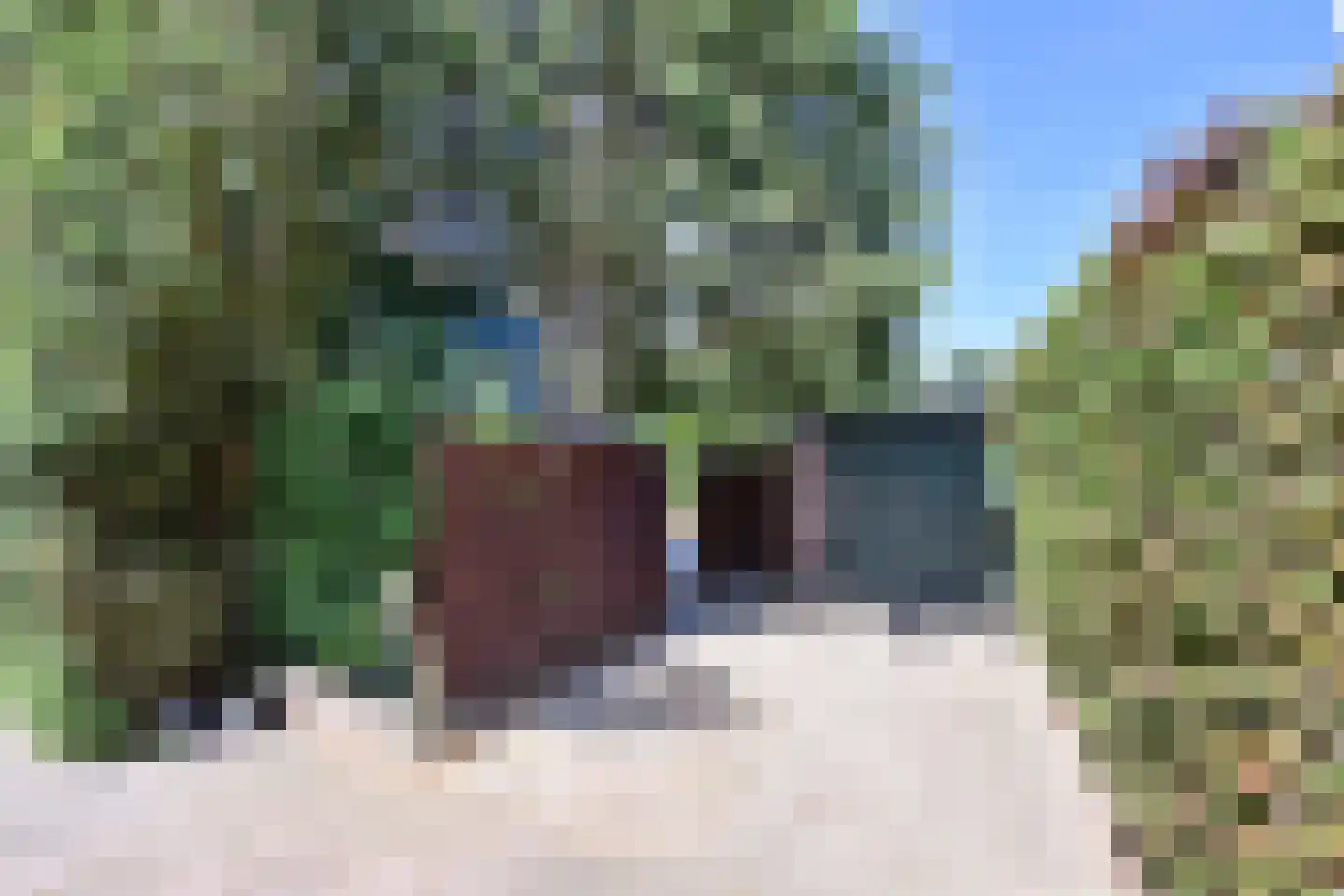 Want 32 Huizen thumbnail 20