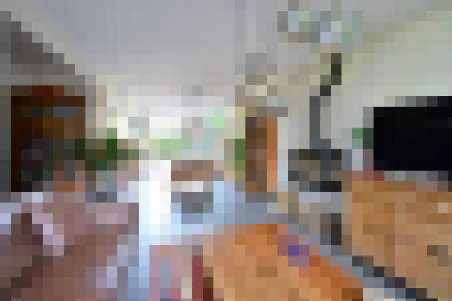 Want 32 Huizen foto 3