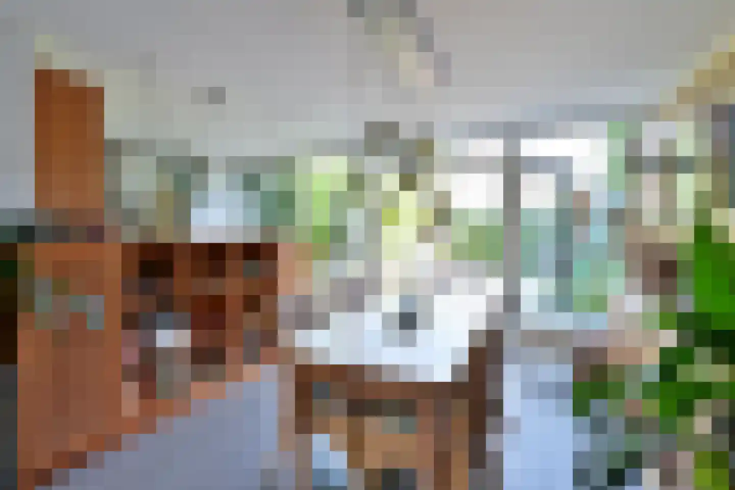 Want 32 Huizen thumbnail 5