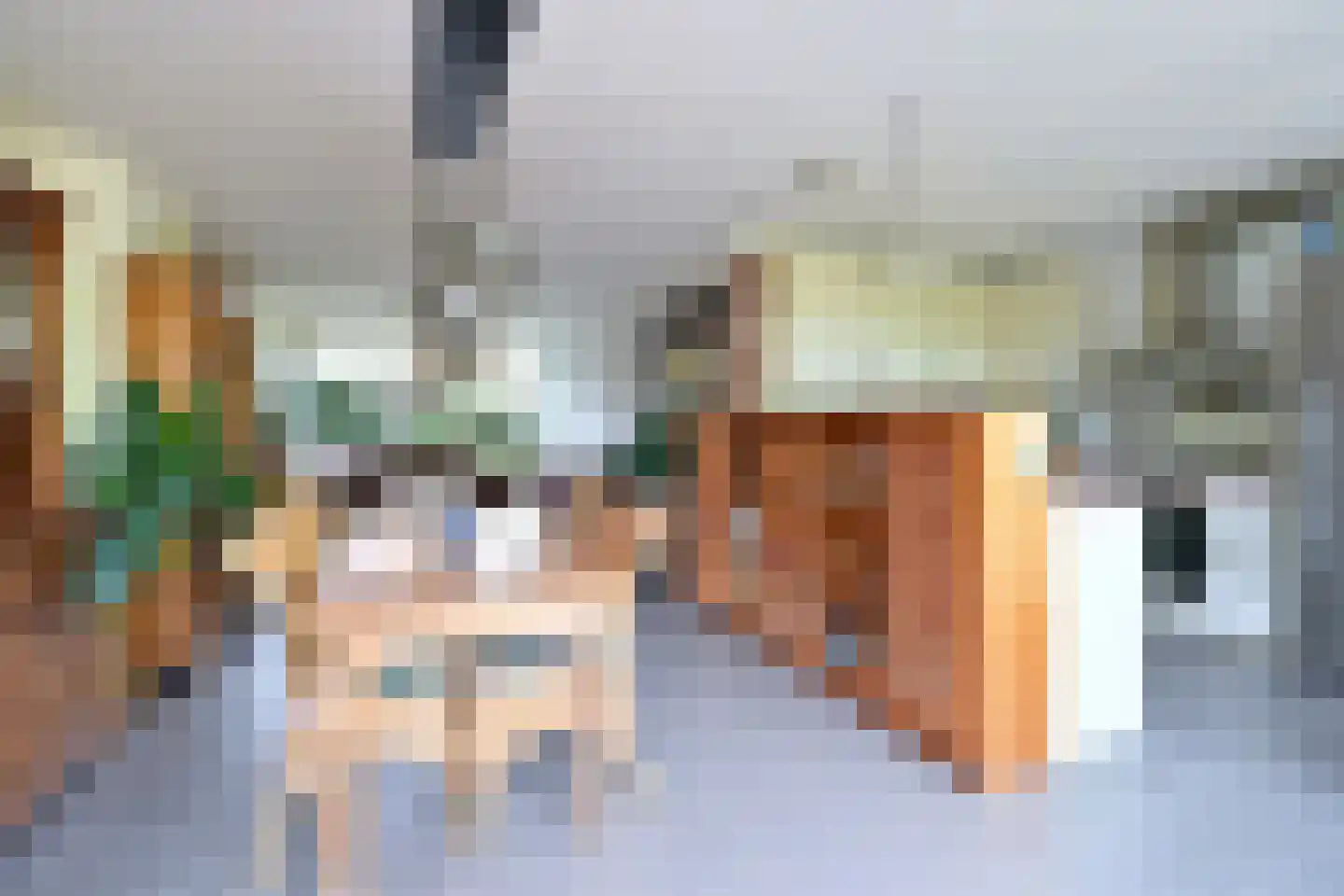 Want 32 Huizen thumbnail 6