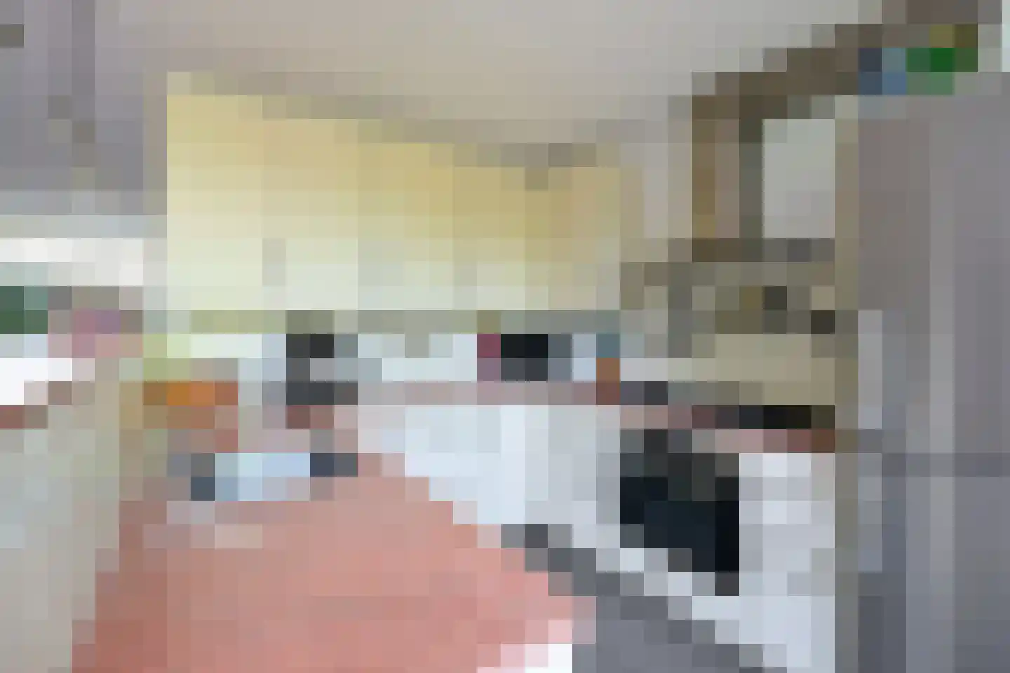 Want 32 Huizen thumbnail 7