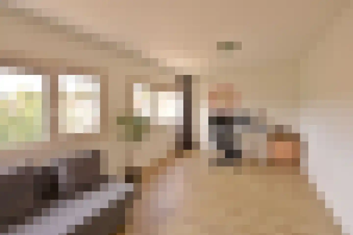 Want 6 Huizen thumbnail 10