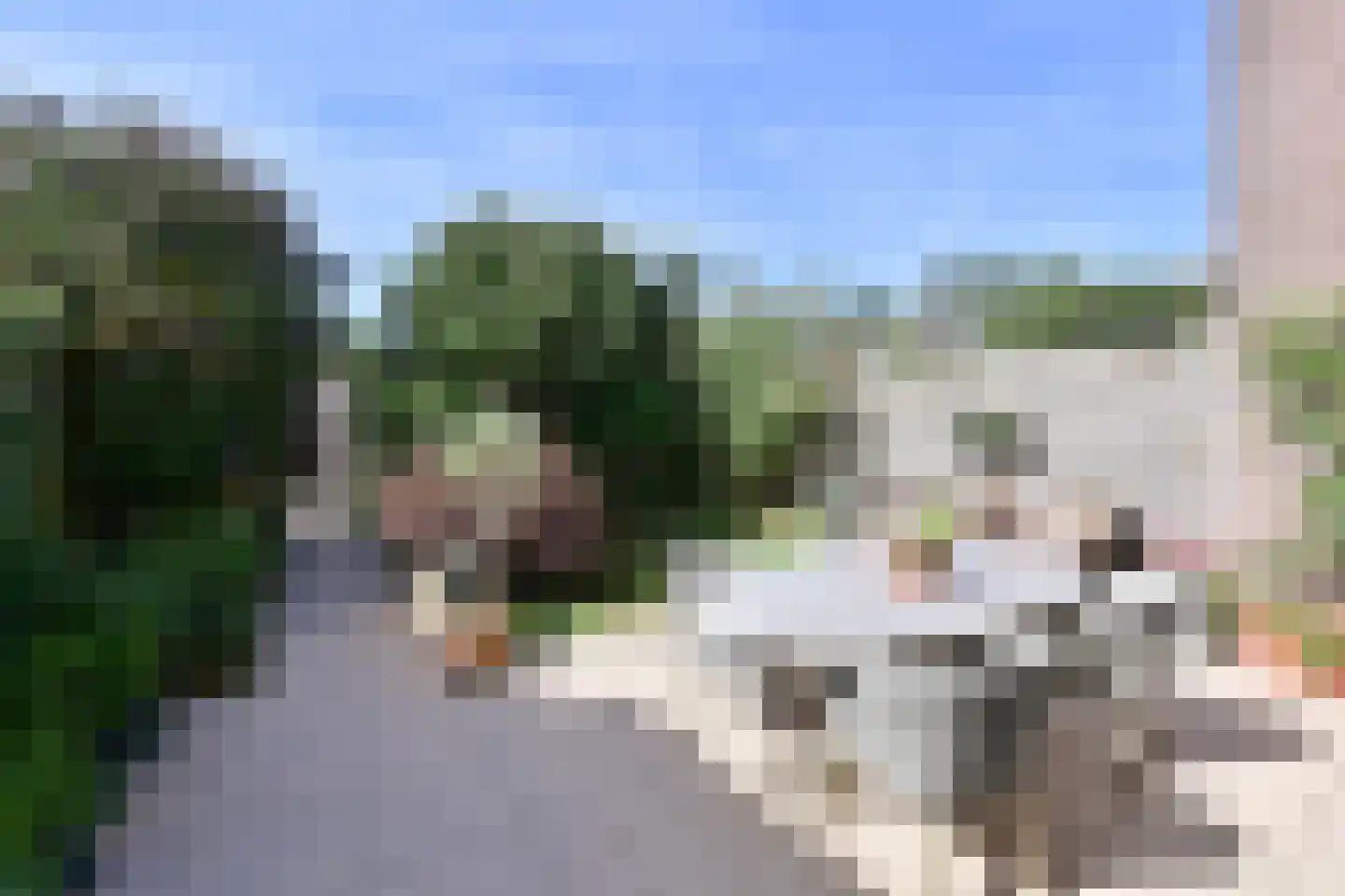 Want 6 Huizen thumbnail 16