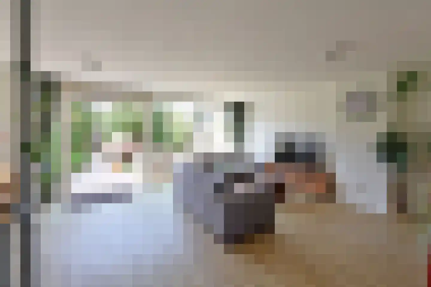 Want 6 Huizen foto 3