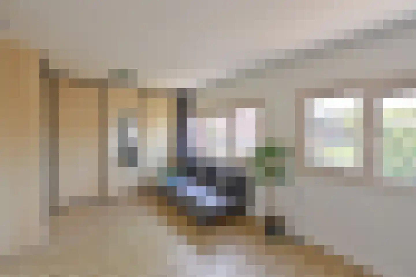 Want 6 Huizen thumbnail 9